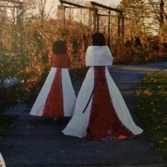 Gorgeous Wedding Gown 🌹 - Picture 4 of 7